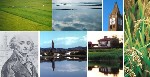 Visuali e vedute