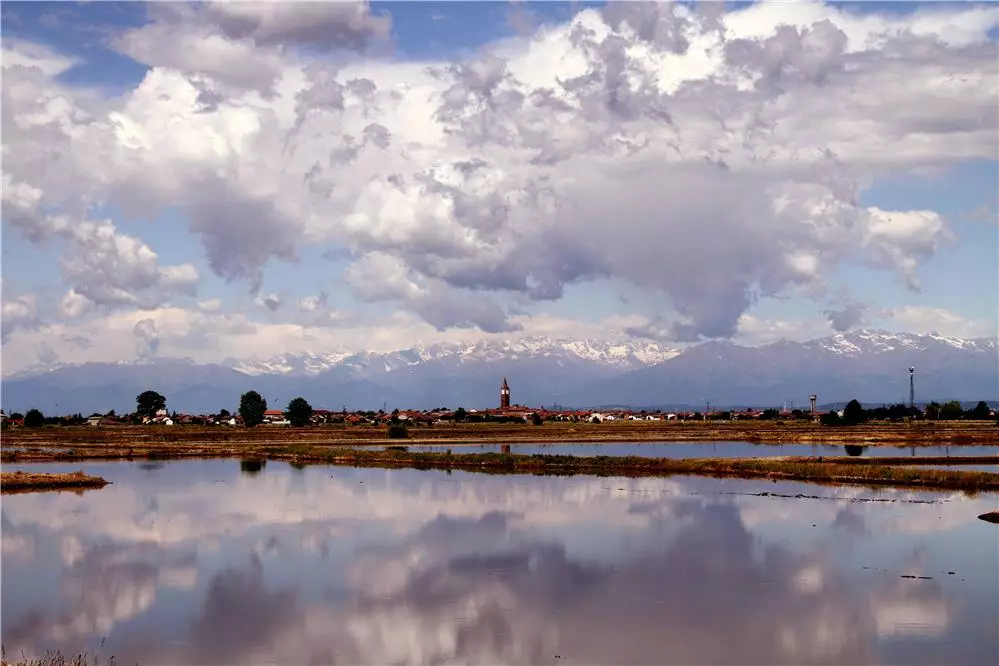 Paesaggio di risaia