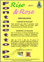 Riso & Rose 2017